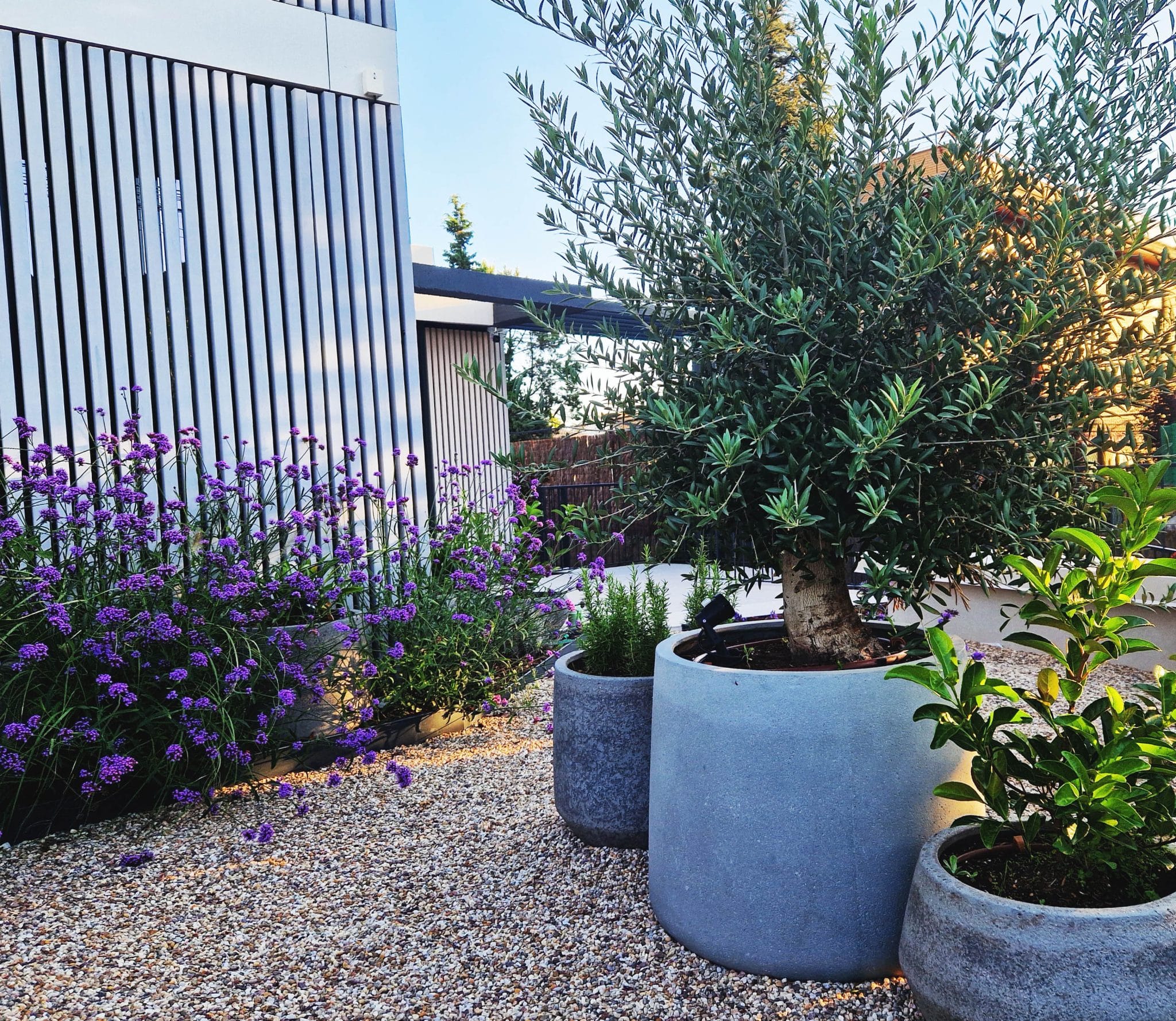 Terraza en sombra con vegetación y luz filtrada