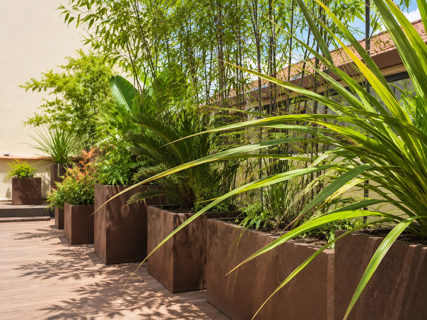 Ritmo de maceteros de corten con planta tropical de hoja grande a lo largo de la tarima