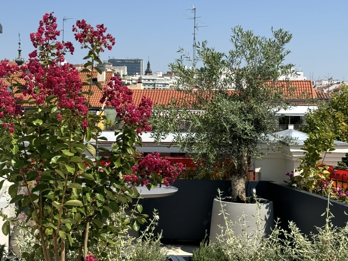 Hans City Garden — terraza mediterránea en pleno centro de Madrid
