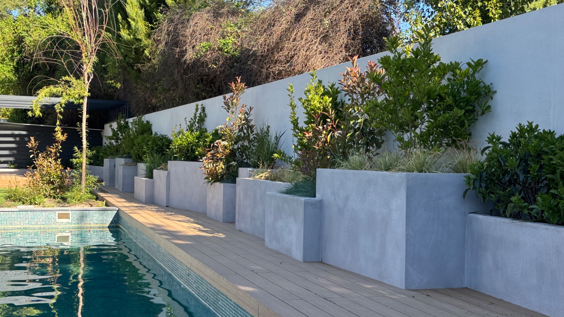 Borde de piscina con jardineras enfoscadas y plantación por capas