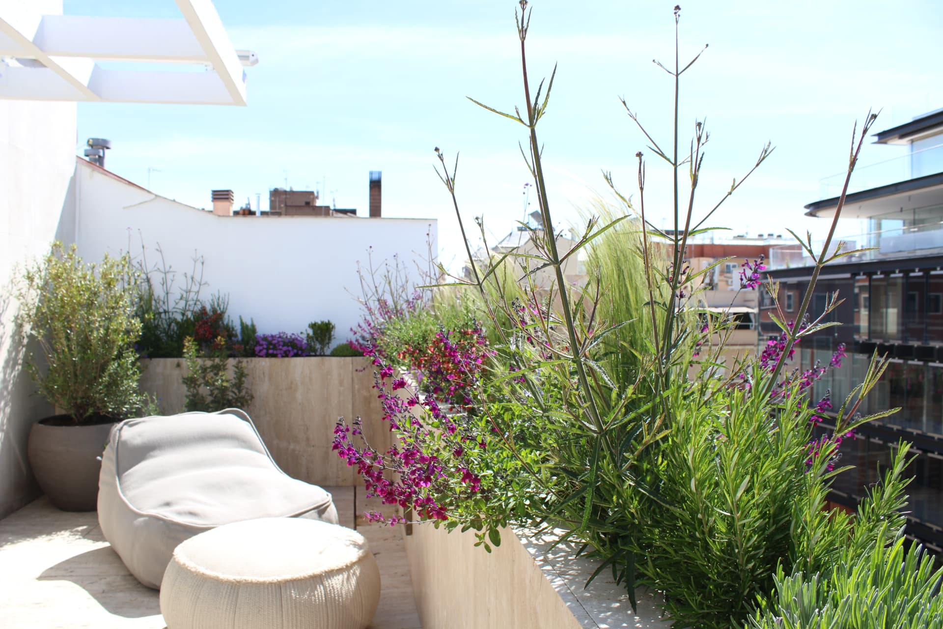 Oasis urbano en Madrid: tumbona entre plantas mediterráneas con vistas a los tejados