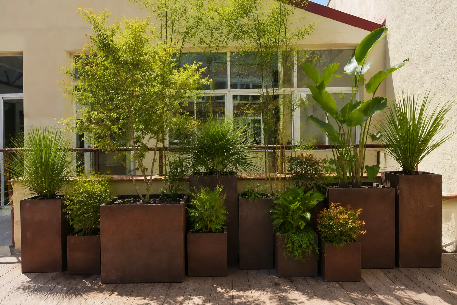 Maceteros de corten con bambú, strelitzia y gramíneas frente a la fachada de las oficinas