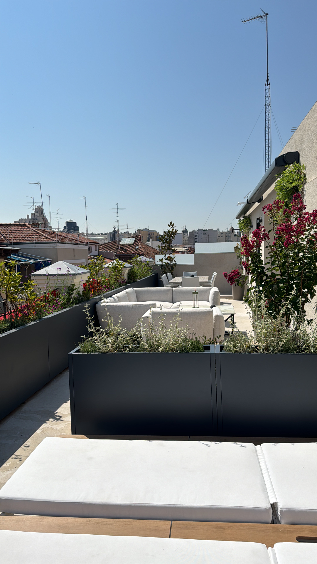 Salón en la azotea enmarcado por jardineras oscuras y lagerstroemia en flor